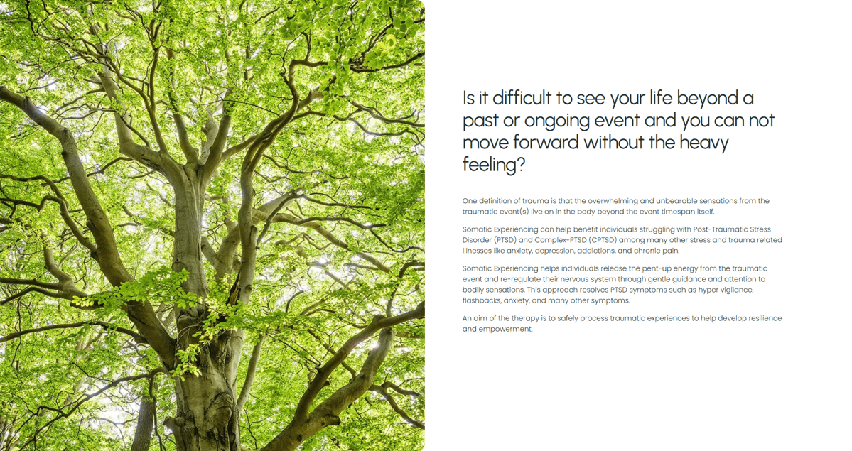 Soul Somatic Therapy screenshot 3
