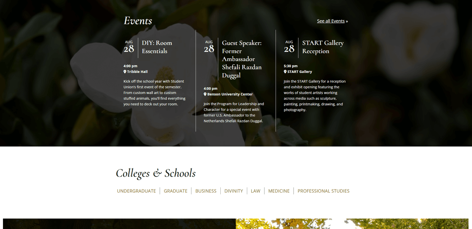 Wake Forest University screenshot 4